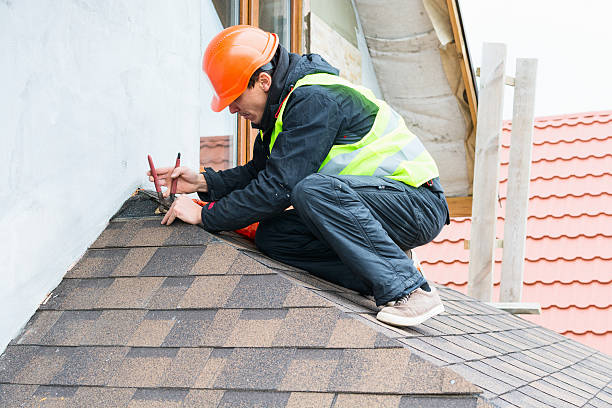 Best Roof Gutter Cleaning  in Moravian Falls, NC